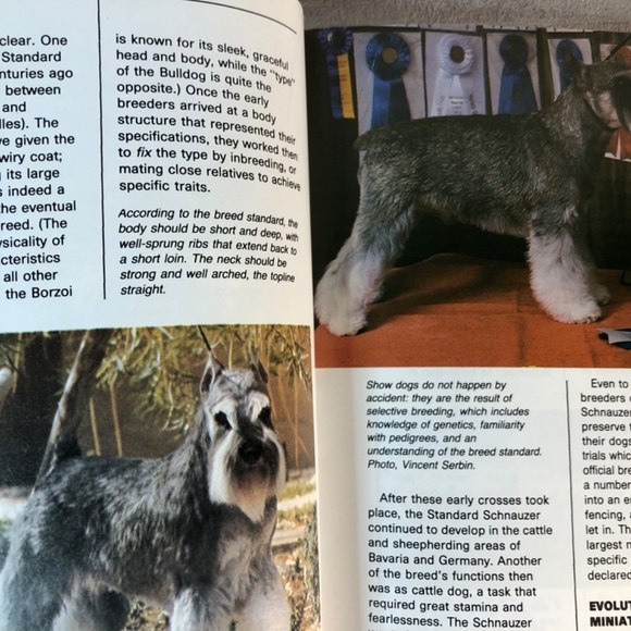 Miniature, schnauzers book - Picture 3 of 5